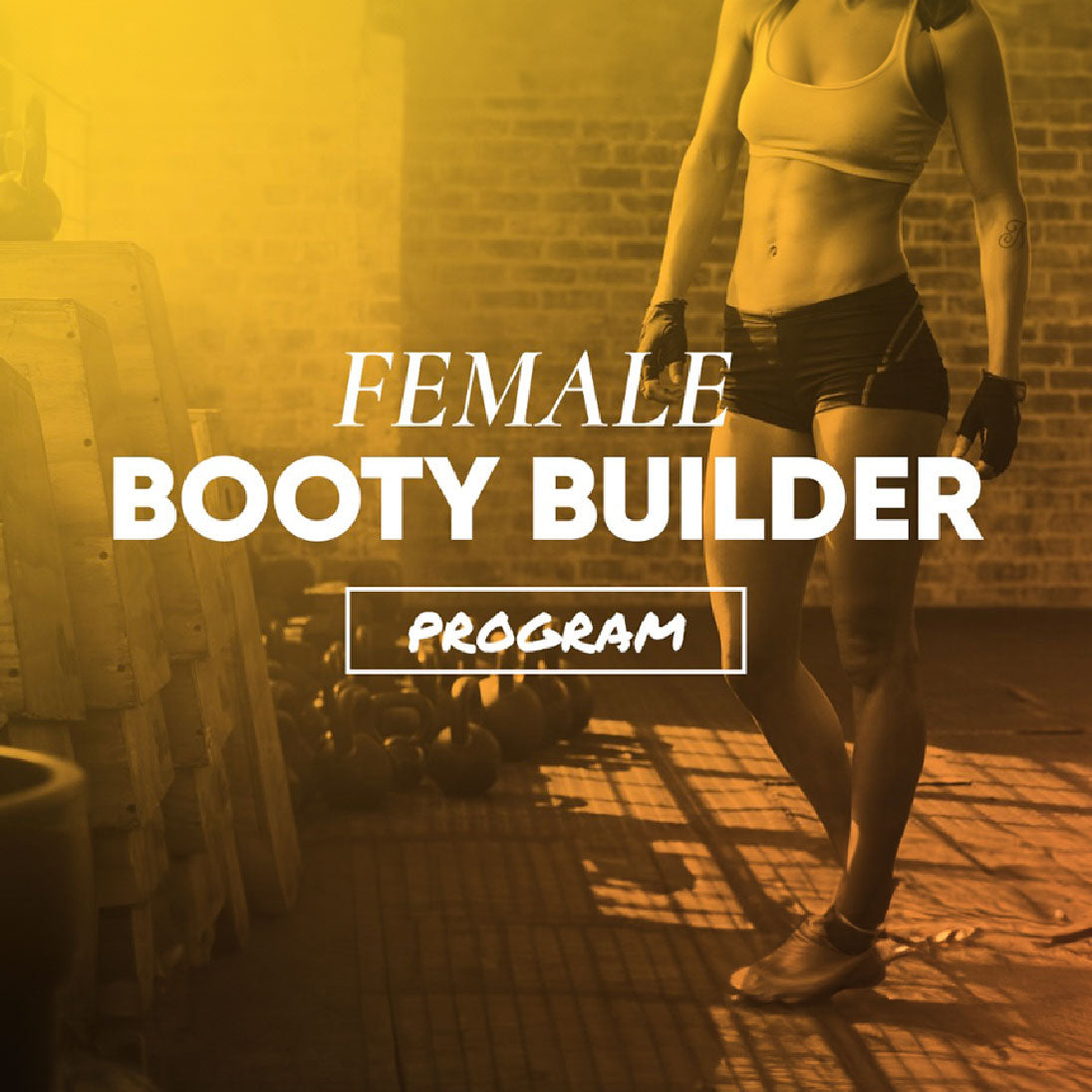 Female Booty Bodybuilder Program