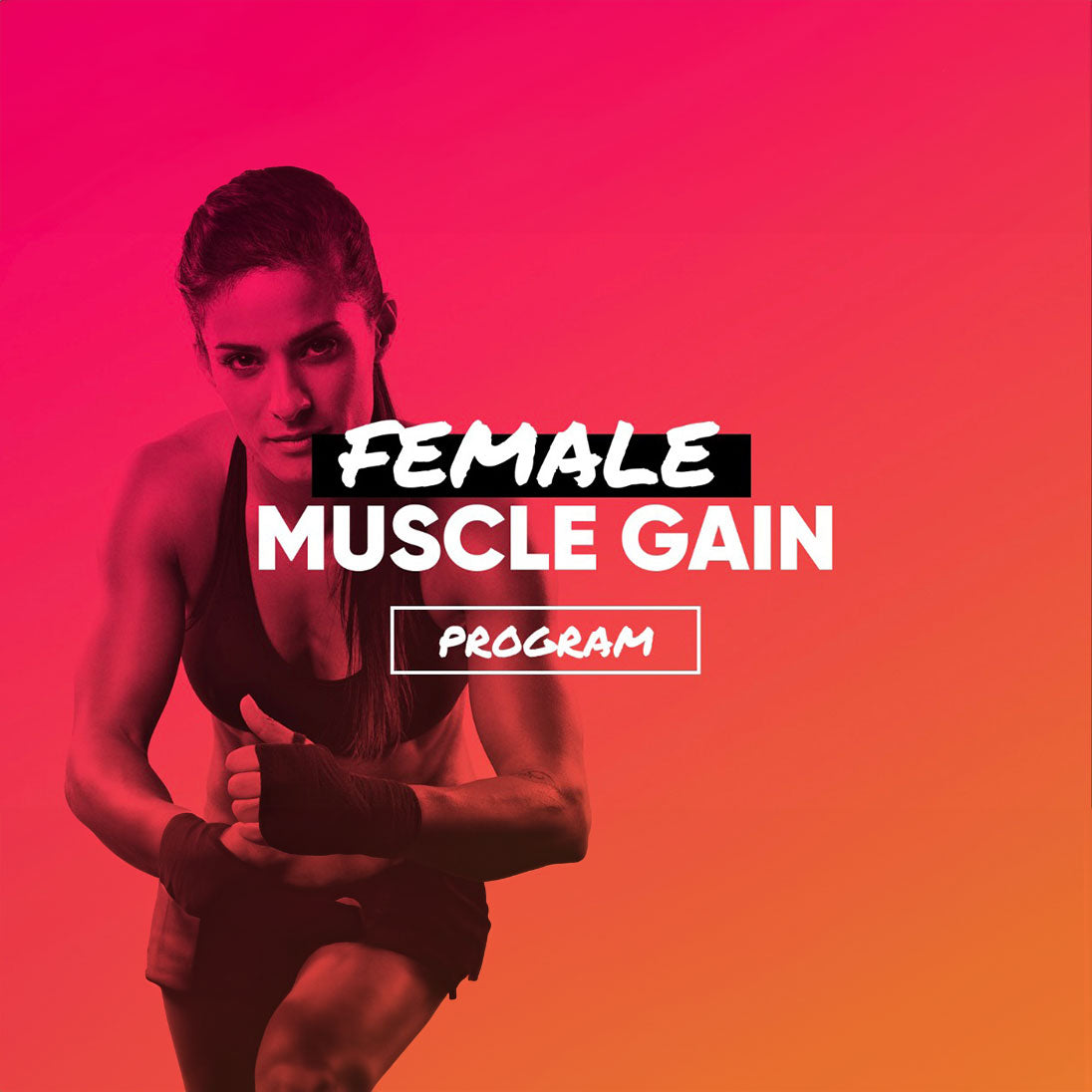 Female Muscle Gain Program