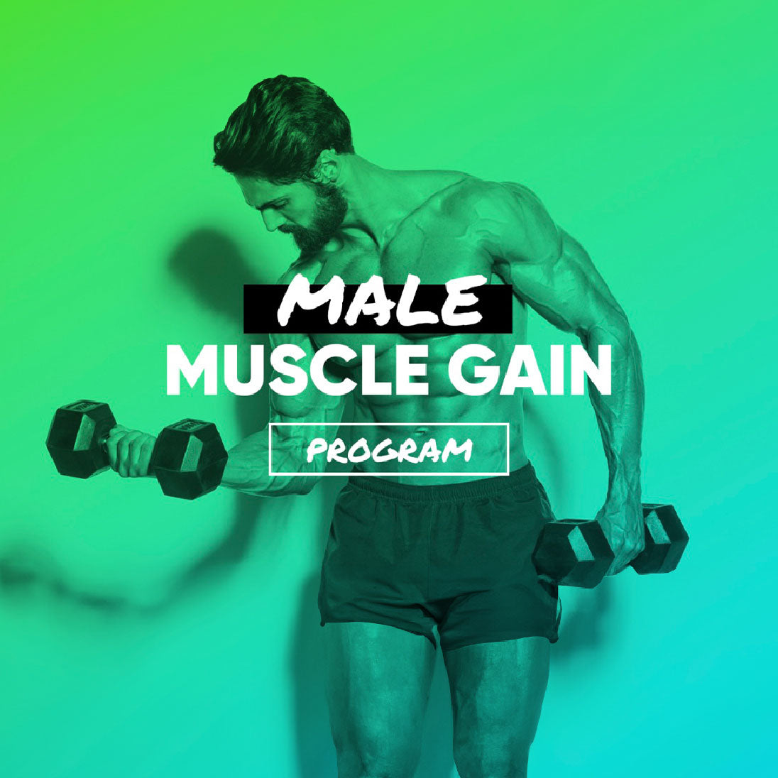 Male Muscle Gain Program