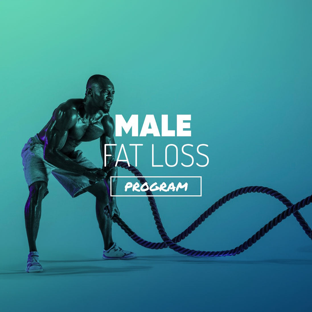 Male Fatloss Program