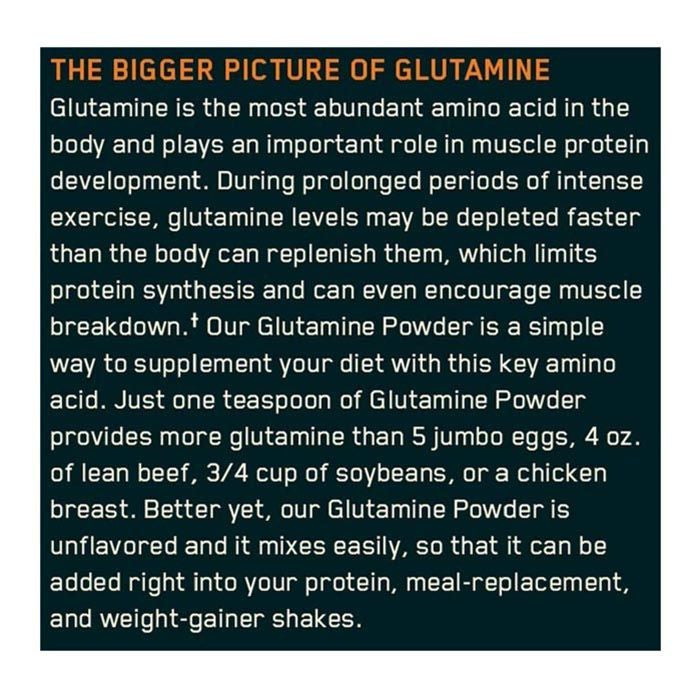 ON Glutamine Powder